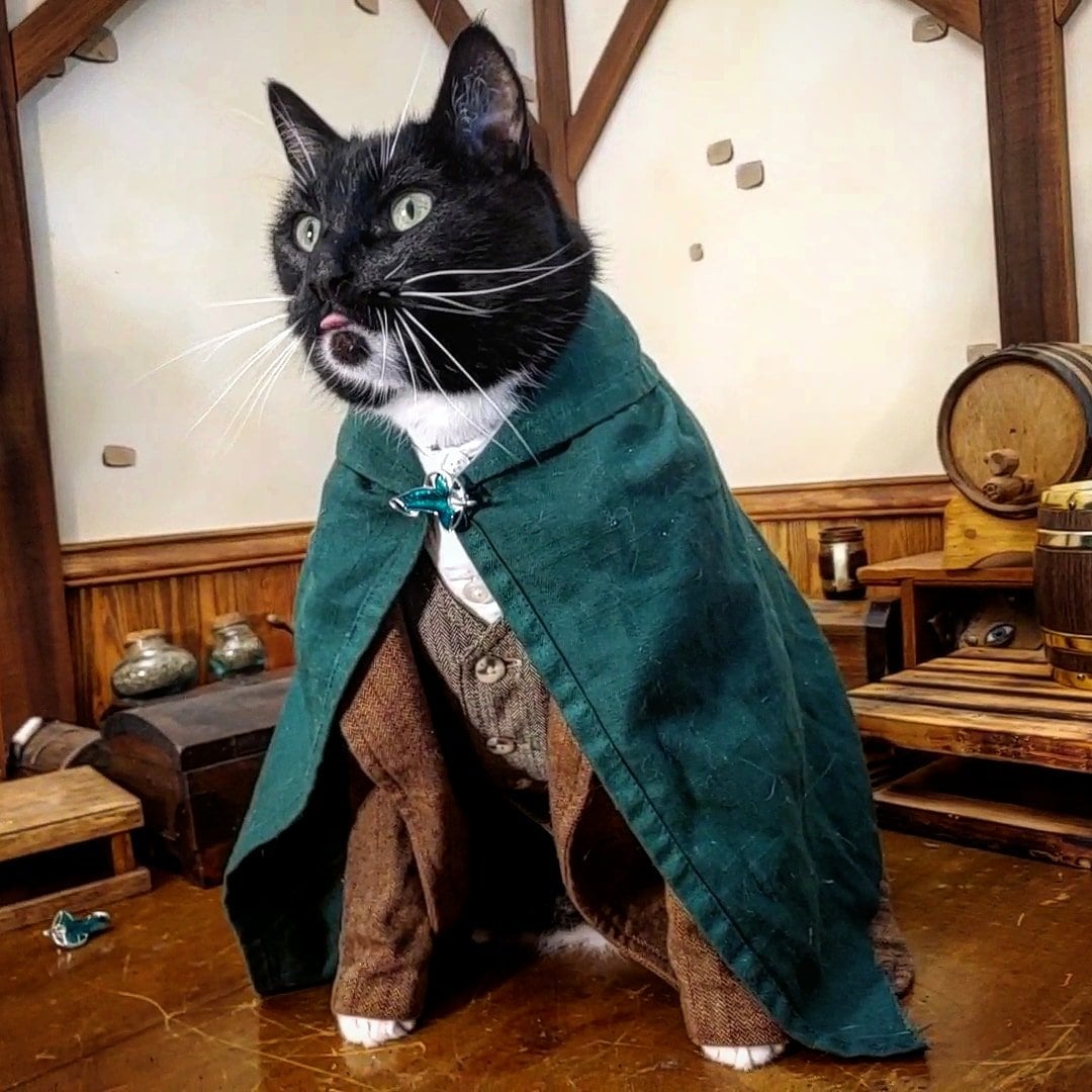 Hobbit Cat Blank Meme Template