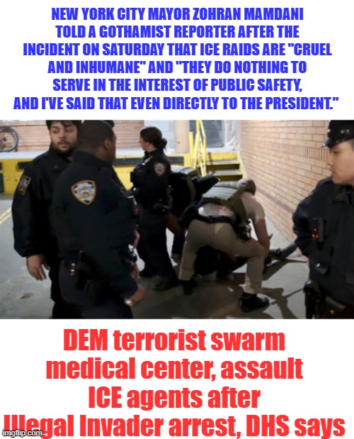 MSM DEM version in Blue Reality in Red | New York City Mayor Zohran Mamdani told a Gothamist reporter after the incident on Saturday that ICE raids are "cruel and inhumane" and "they do nothing to serve in the interest of public safety, and I've said that even directly to the president."; DEM terrorist swarm medical center, assault ICE agents after Illegal Invader arrest, DHS says | made w/ Imgflip meme maker
