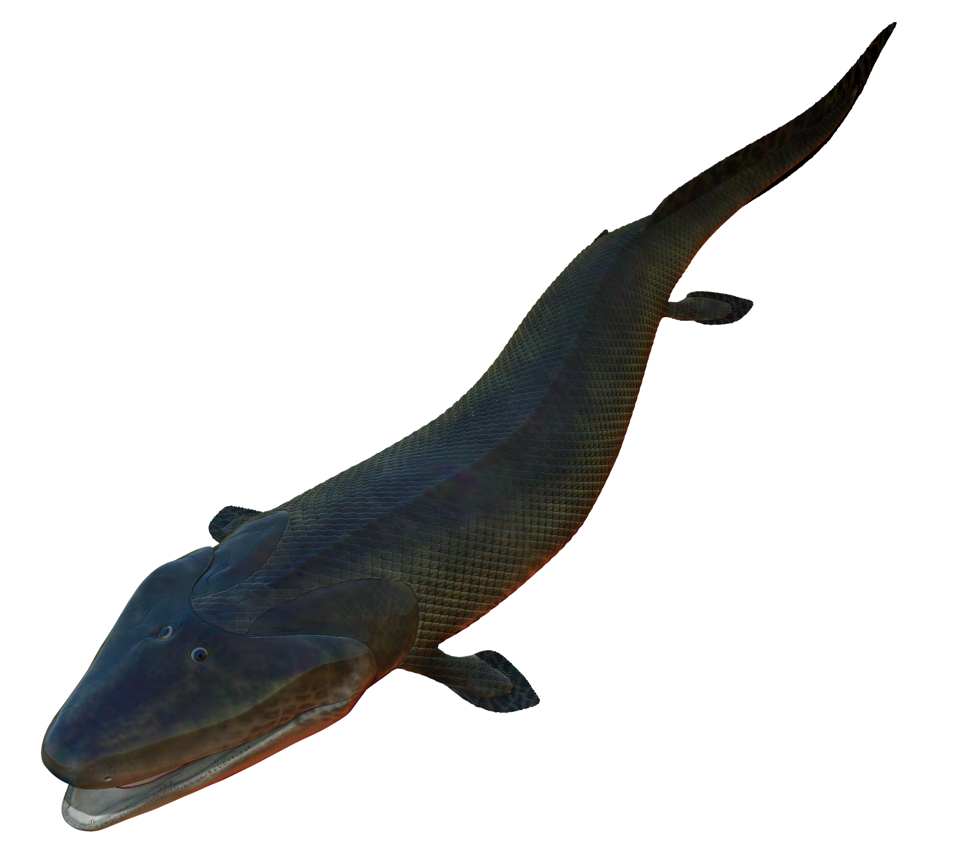 Tiktaalik Blank Meme Template