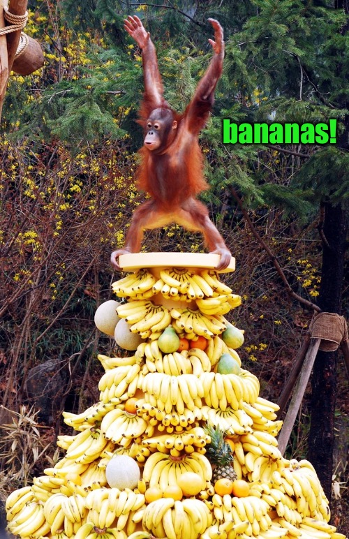 bananas! | made w/ Imgflip meme maker