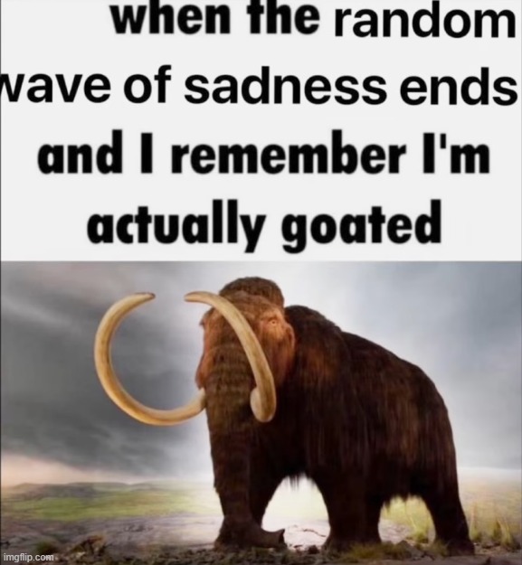 when the random wave of sadness end | image tagged in when the random wave of sadness end | made w/ Imgflip meme maker