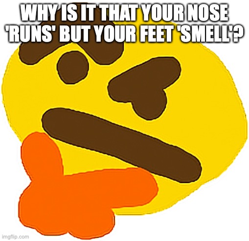Opposite | Why is it that your nose 'runs' but your feet 'smell'? | image tagged in hmmmmmmmm,fun | made w/ Imgflip meme maker