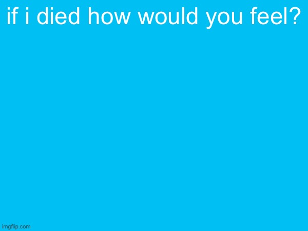 if i died how would you feel? | image tagged in i,am,not,a,femboy | made w/ Imgflip meme maker