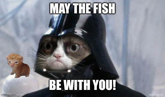 Grumpy Cat Star Wars Meme | May the fish; be with you! | image tagged in memes,vader,kitten | made w/ Imgflip meme maker