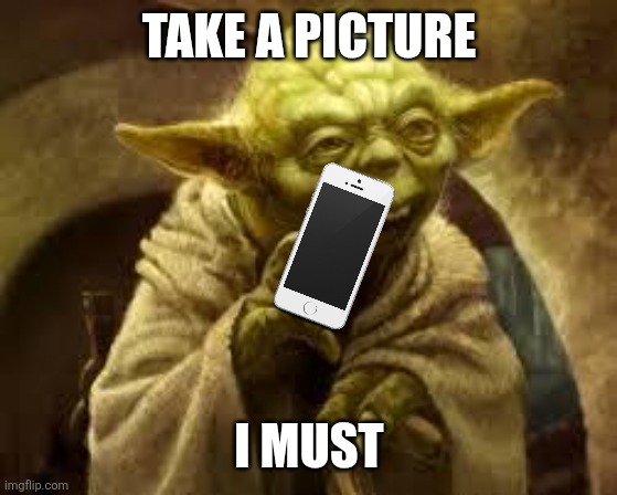 yoda | Take a picture; I must | image tagged in memes,yoda,phone | made w/ Imgflip meme maker