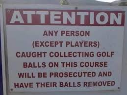 Golf ball warning Blank Meme Template