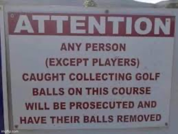 Golf ball warning | image tagged in golf ball warning | made w/ Imgflip meme maker