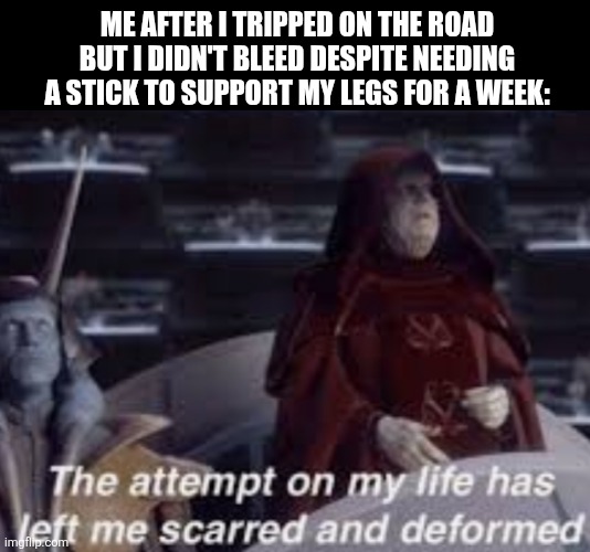 The attempt on my life has left me scarred and deformed | Me after I tripped on the road but I didn't bleed despite needing a stick to support my legs for a week: | image tagged in memes,fall,damage | made w/ Imgflip meme maker