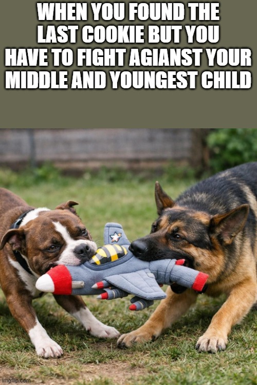 He's not wrong. | When you found the last cookie but you have to fight agianst your middle and youngest child | image tagged in a dog fighting another dog on a toy | made w/ Imgflip meme maker
