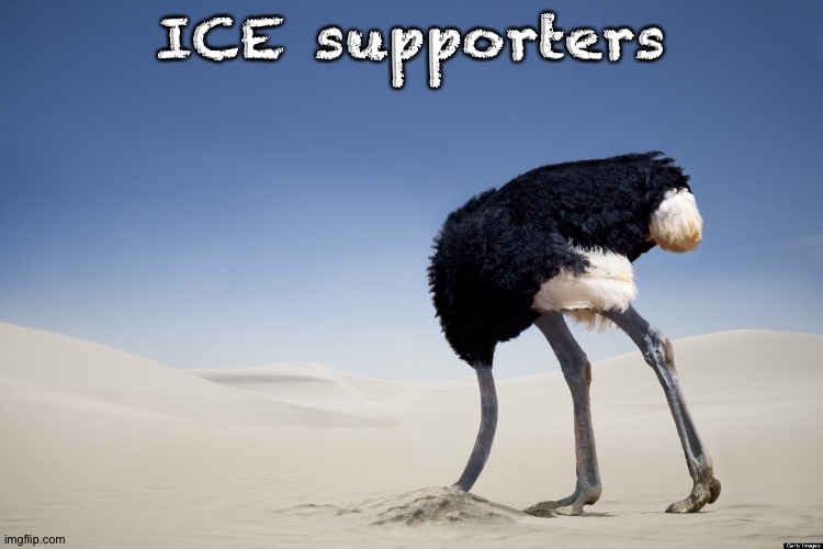 ICE supporters | image tagged in ostrich head in sand | made w/ Imgflip meme maker
