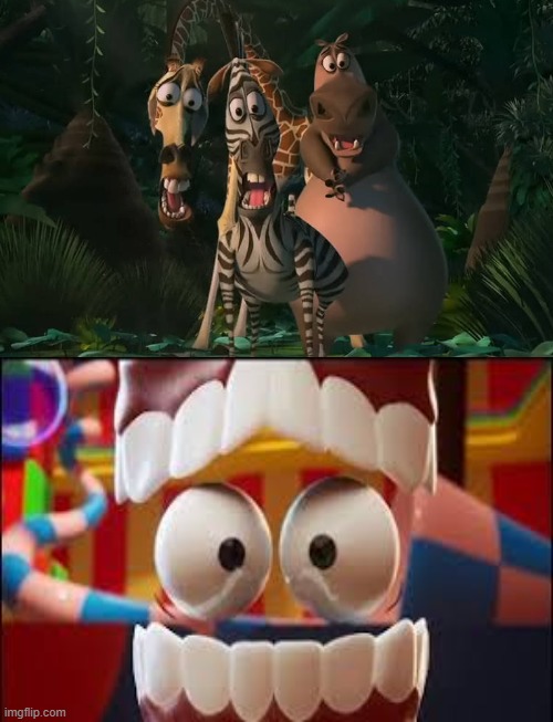 Marty, Gloria, & Melman Traumatized at Image | image tagged in marty gloria melman traumatized at image | made w/ Imgflip meme maker