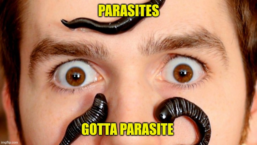 Parasites Gotta parasite | image tagged in leech | made w/ Imgflip meme maker