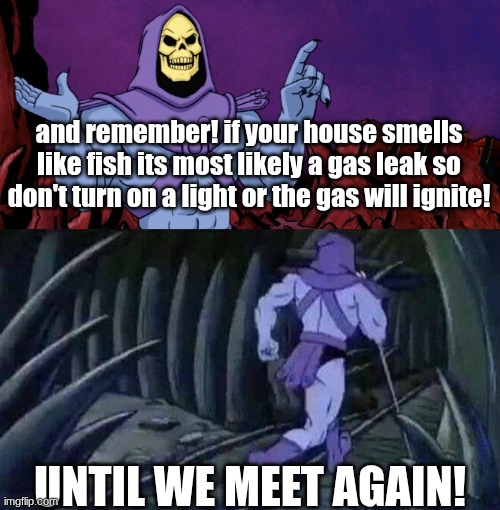 he man skeleton advices | and remember! if your house smells like fish its most likely a gas leak so don't turn on a light or the gas will ignite! UNTIL WE MEET AGAIN! | image tagged in he man skeleton advices | made w/ Imgflip meme maker