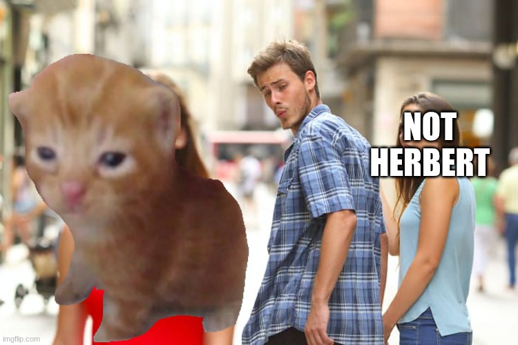herbert | not herbert | image tagged in guy holding hand with girl and looks back,herbert | made w/ Imgflip meme maker