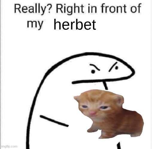 herbert | herbet | image tagged in really right in front of my,herbert | made w/ Imgflip meme maker