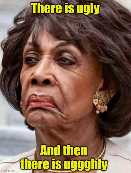 Hag | There is ugly; And then there is uggghly | image tagged in maxine waters | made w/ Imgflip meme maker