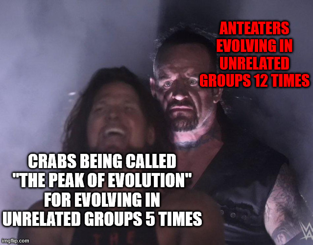 undertaker | anteaters evolving in unrelated groups 12 times; crabs being called "the peak of evolution" for evolving in unrelated groups 5 times | image tagged in undertaker,crab,crabs,anteater | made w/ Imgflip meme maker
