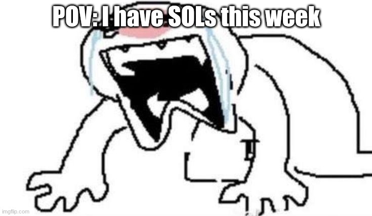 Ugly Crying | POV: I have SOLs this week | image tagged in ugly crying | made w/ Imgflip meme maker