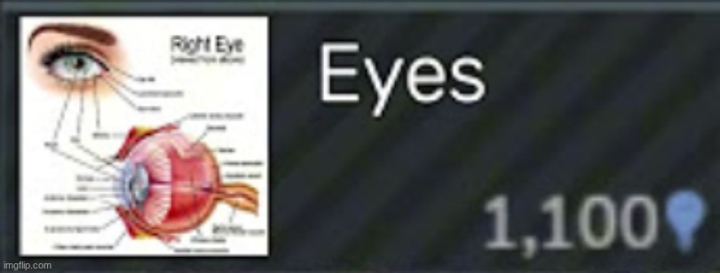 [Mod Note: Approved] | image tagged in research eyes modification | made w/ Imgflip meme maker