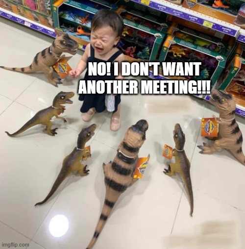 No more meetings | No! I don't want another meeting!!! | image tagged in crying kid with dinosaurs,meeting,standup | made w/ Imgflip meme maker