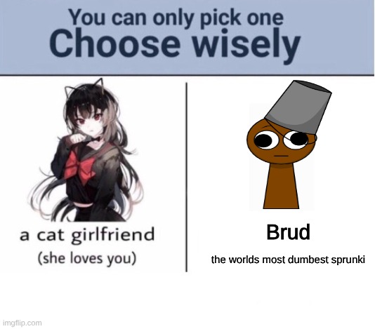 pick one | Brud; the worlds most dumbest sprunki | image tagged in choose wisely,memes,brud,girlfriend | made w/ Imgflip meme maker