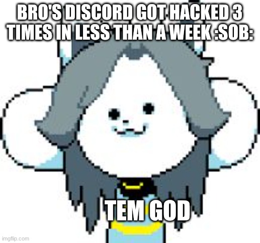 TEMMIE | bro's discord got hacked 3 times in less than a week :sob:; tem god | image tagged in temmie,discord,hack | made w/ Imgflip meme maker