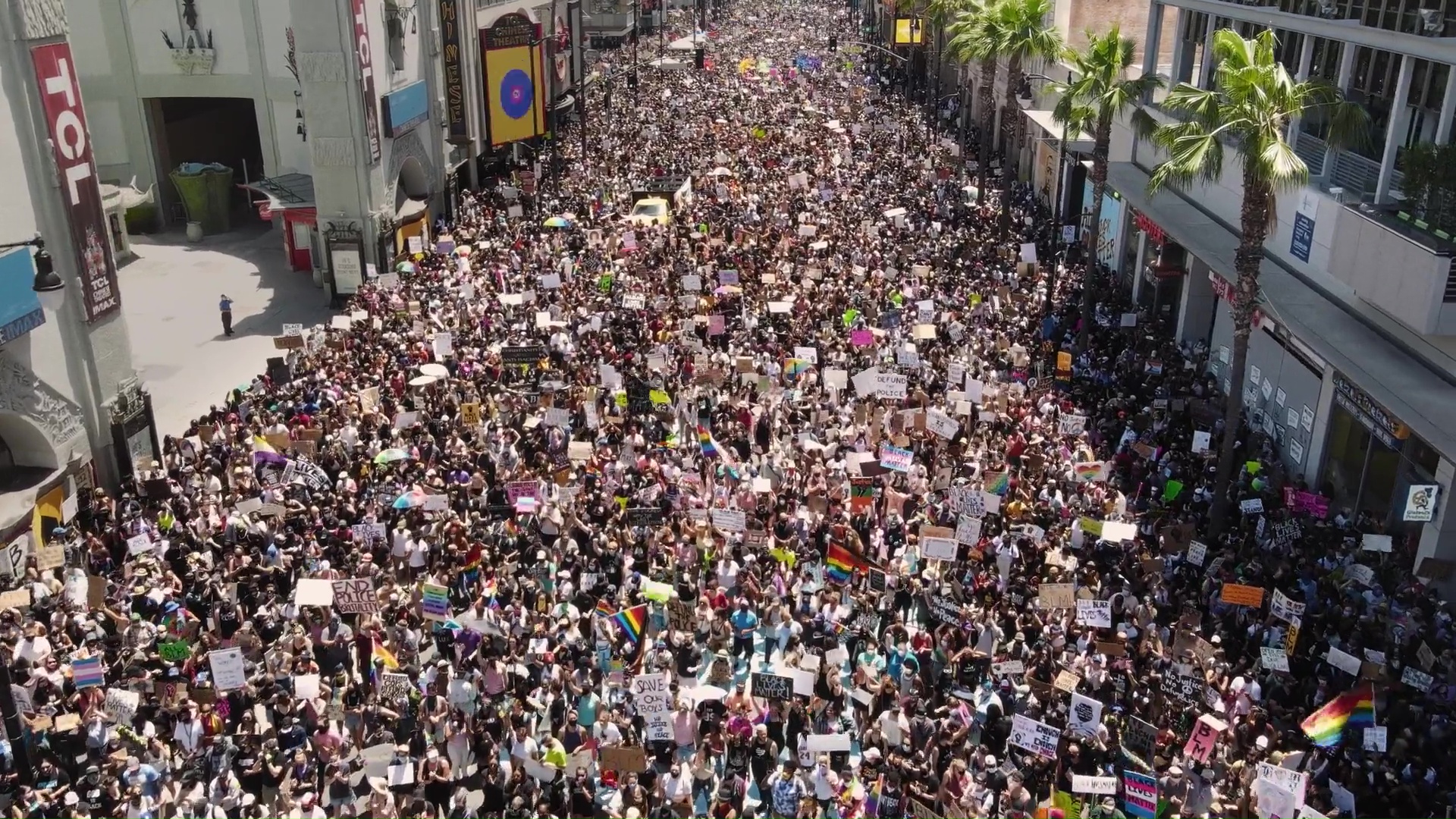High Quality Peaceful Protest Blank Meme Template