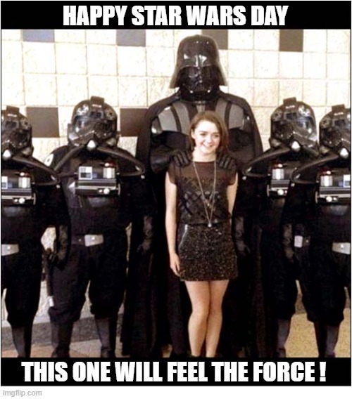 If You Know, You Know ! | happy star wars day; this one will feel the force ! | image tagged in happy star wars day,one girl five guys | made w/ Imgflip meme maker