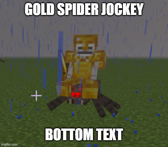 what do you do in this situation | gold spider jockey; bottom text | image tagged in gold spider jockey jpg | made w/ Imgflip meme maker