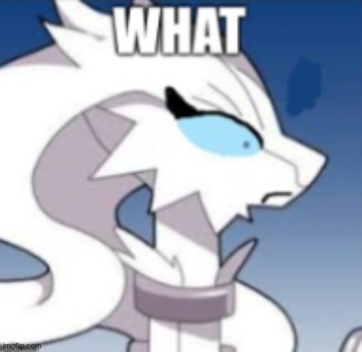 Verita the Reshiram WHAT | image tagged in verita the reshiram what | made w/ Imgflip meme maker