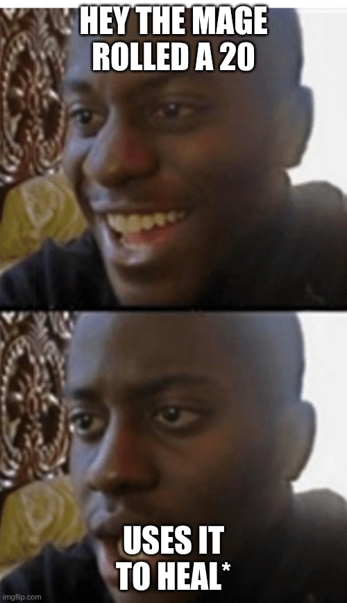 Let down | hey the mage rolled a 20; uses it to heal* | image tagged in let down | made w/ Imgflip meme maker