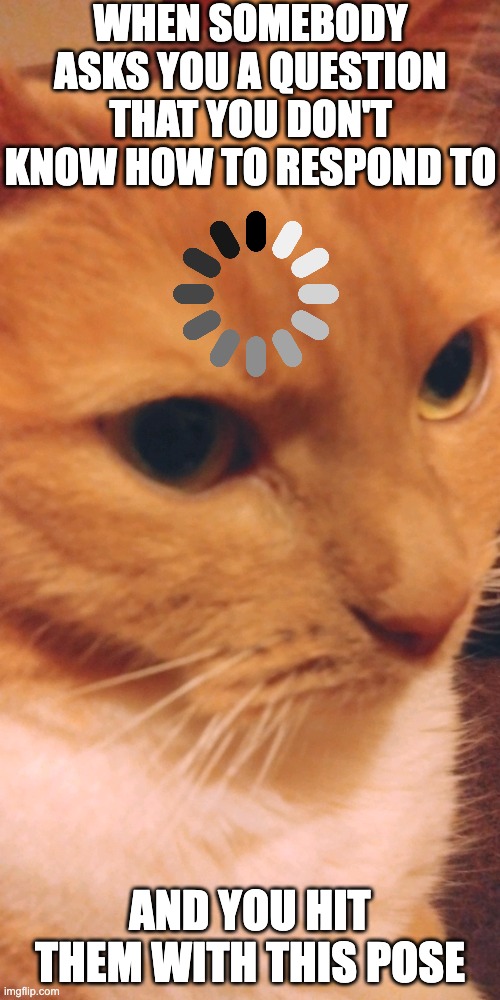 Orange has the confusion | When somebody asks you a question that you don't know how to respond to; And you hit them with this pose | image tagged in goober,car,orange | made w/ Imgflip meme maker