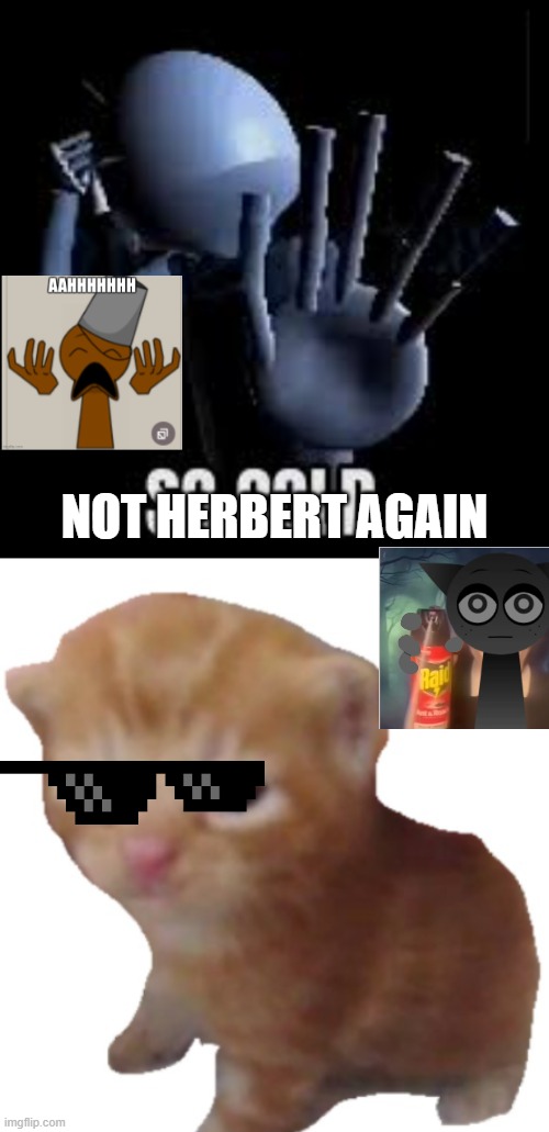 Herbert | Not herbert again | image tagged in herbert | made w/ Imgflip meme maker