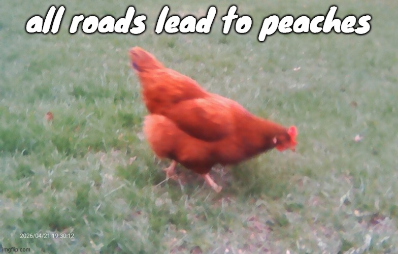 2026-04-21-19-30-12.jpg | all roads lead to peaches | image tagged in 2026-04-21-19-30-12 jpg | made w/ Imgflip meme maker