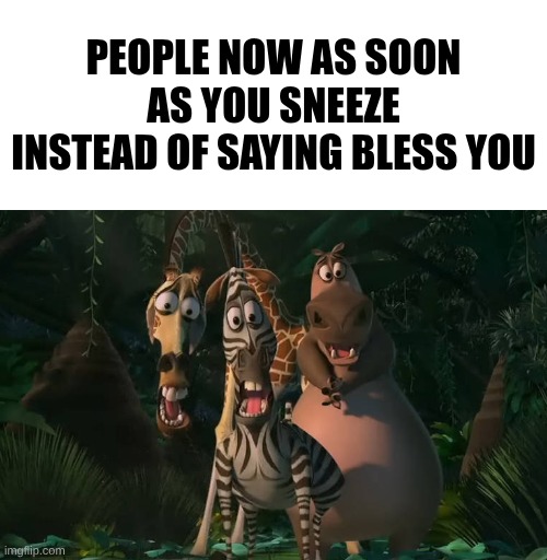 People now as soon as you sneeze instead of saying Bless you | image tagged in marty gloria melman traumatized | made w/ Imgflip meme maker