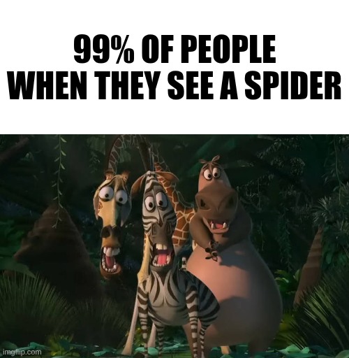 99% of people when they see a spider | image tagged in marty gloria melman traumatized | made w/ Imgflip meme maker