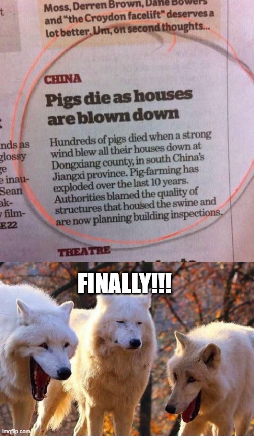 Die Pigs Die | finally!!! | image tagged in laughing wolf | made w/ Imgflip meme maker