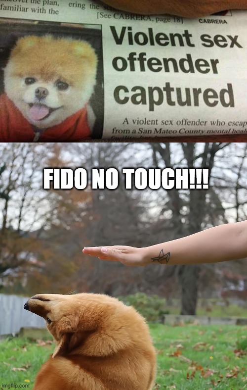 Sex Offender | fido no touch!!! | image tagged in avoid dog | made w/ Imgflip meme maker