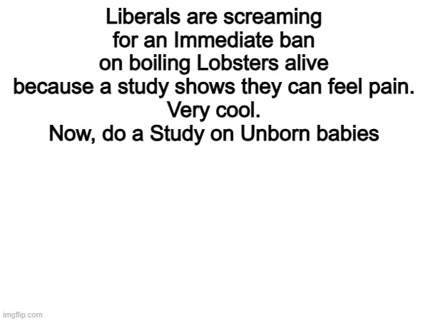 True | Liberals are screaming for an Immediate ban on boiling Lobsters alive because a study shows they can feel pain.
Very cool.
Now, do a Study on Unborn babies | image tagged in memes,funny,liberals,politics,political meme | made w/ Imgflip meme maker