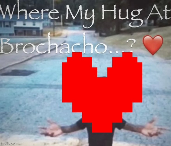 where my hug at brochacho | image tagged in where my hug at brochacho | made w/ Imgflip meme maker
