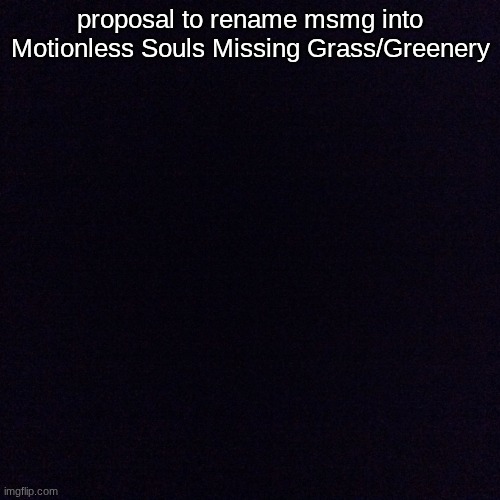 Black screen  | proposal to rename msmg into Motionless Souls Missing Grass/Greenery | image tagged in black screen | made w/ Imgflip meme maker