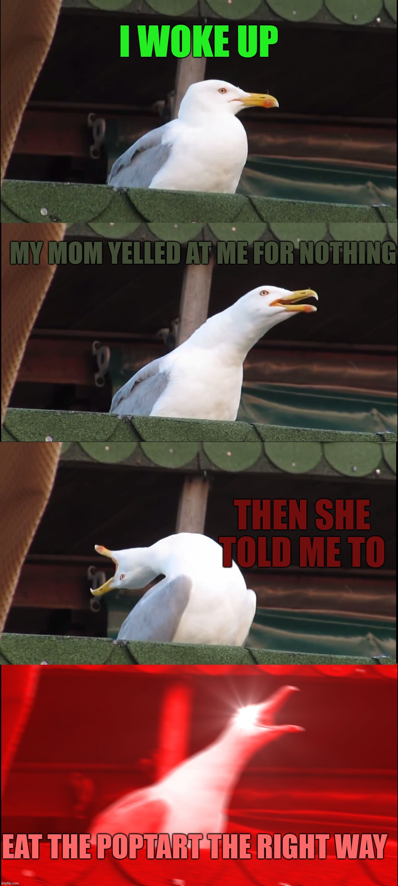 everyday | i woke up; my mom yelled at me for nothing; then she told me to; eat the poptart the right way | image tagged in memes,inhaling seagull | made w/ Imgflip meme maker