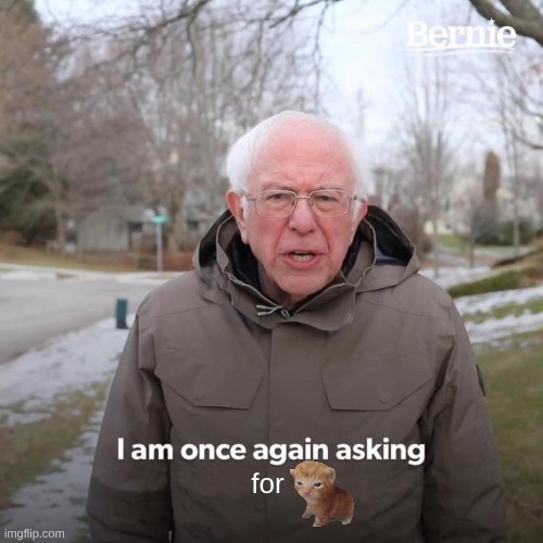 Bernie I Am Once Again Asking For Your Support Meme | for | image tagged in memes,bernie i am once again asking for your support | made w/ Imgflip meme maker