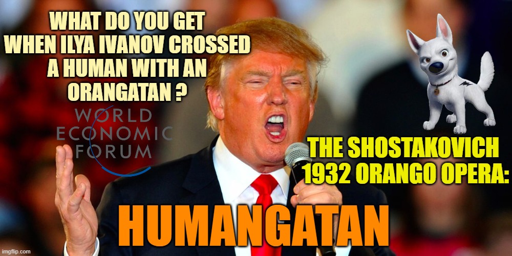 Donald Trump Orange | What do you get
when Ilya ivanov crossed
a human with an
orangatan ? The shostakovich 
1932 orango opera: Humangatan | image tagged in donald trump orange | made w/ Imgflip meme maker