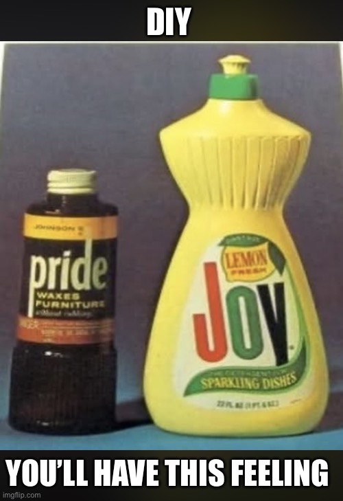 Prideful | DIY; You’ll have this feeling | image tagged in img_3766 jpeg | made w/ Imgflip meme maker