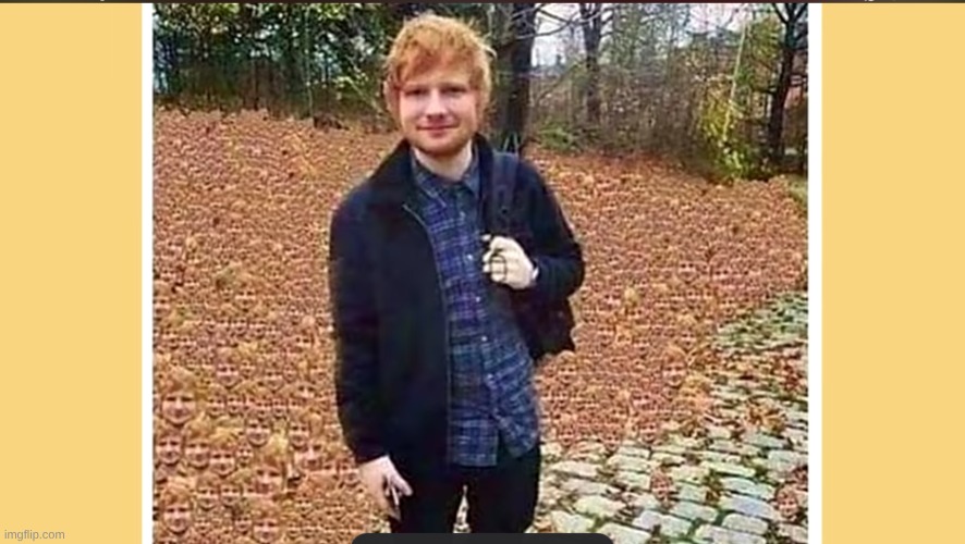Ed sheran nomal pic?!? | image tagged in ed sheran nomal pic | made w/ Imgflip meme maker
