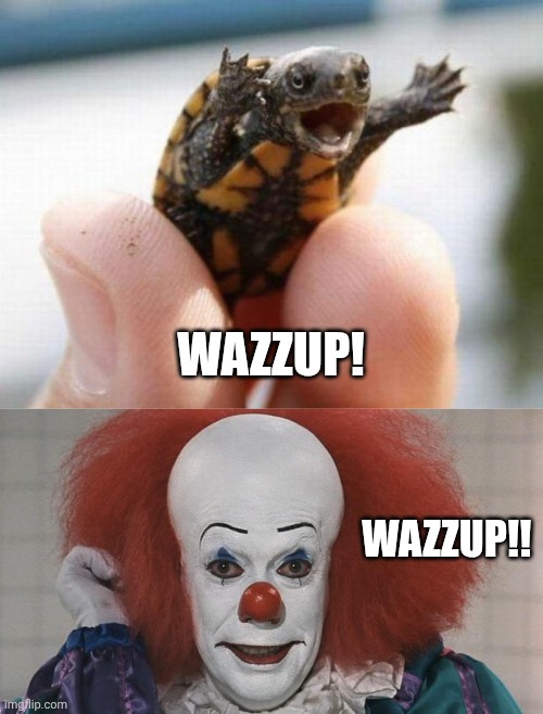 Wazzup!! WAZZUP! | image tagged in happy baby turtle,pennywise | made w/ Imgflip meme maker
