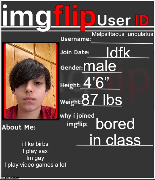 Abt me | Melpsittacus_undulatus; Idfk; male; 4’6”; 87 lbs; bored in class; i like birbs
I play sax
Im gay
I play video games a lot | image tagged in imgflip user id | made w/ Imgflip meme maker