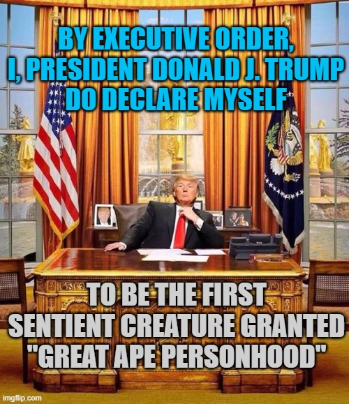 President Trump | by executive order,
I, president donald j. Trump
do declare myself; to be the first sentient creature granted
"Great Ape Personhood" | image tagged in president trump | made w/ Imgflip meme maker