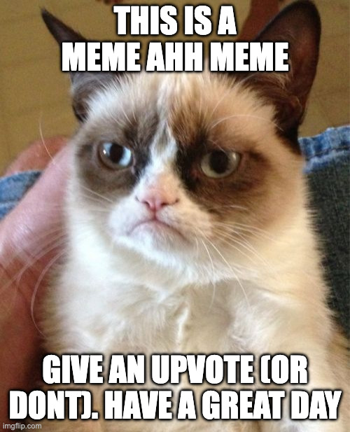 This is a meme Ahh meme. Enjoy! | this is a meme ahh meme; give an upvote (or dont). have a great day | image tagged in memes,grumpy cat | made w/ Imgflip meme maker